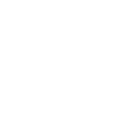 Mobilità